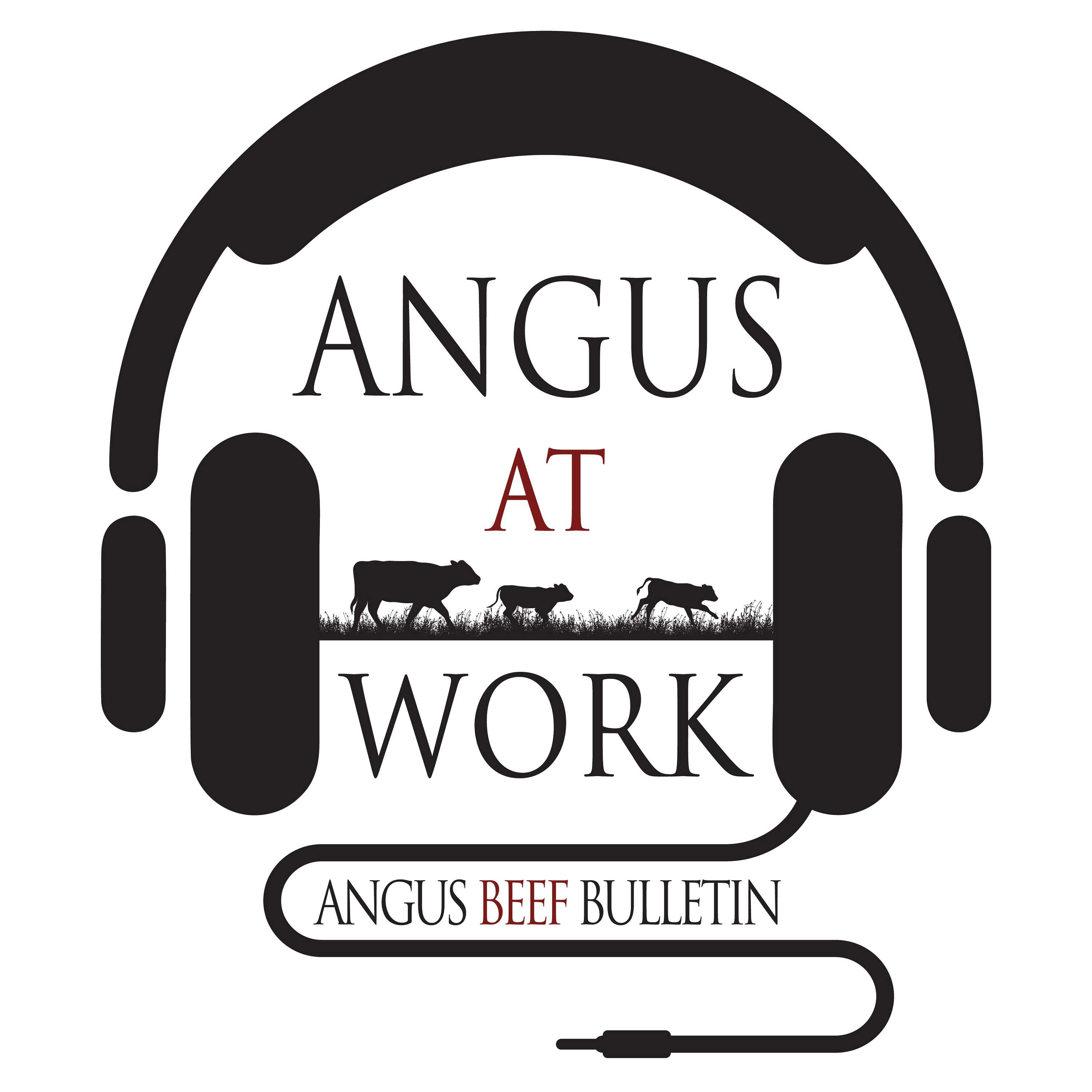 Angus At Work