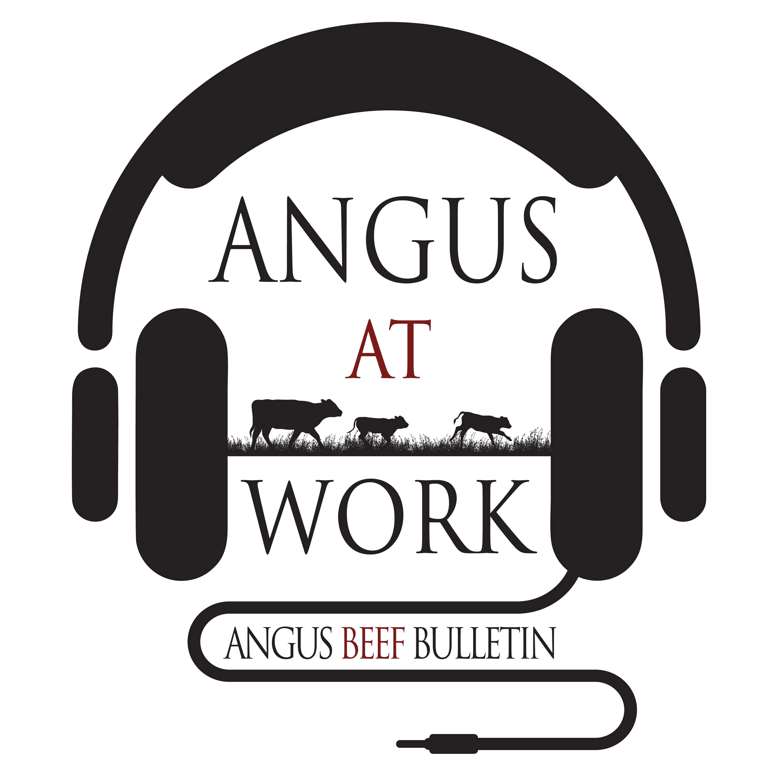 Angus At Work cover art