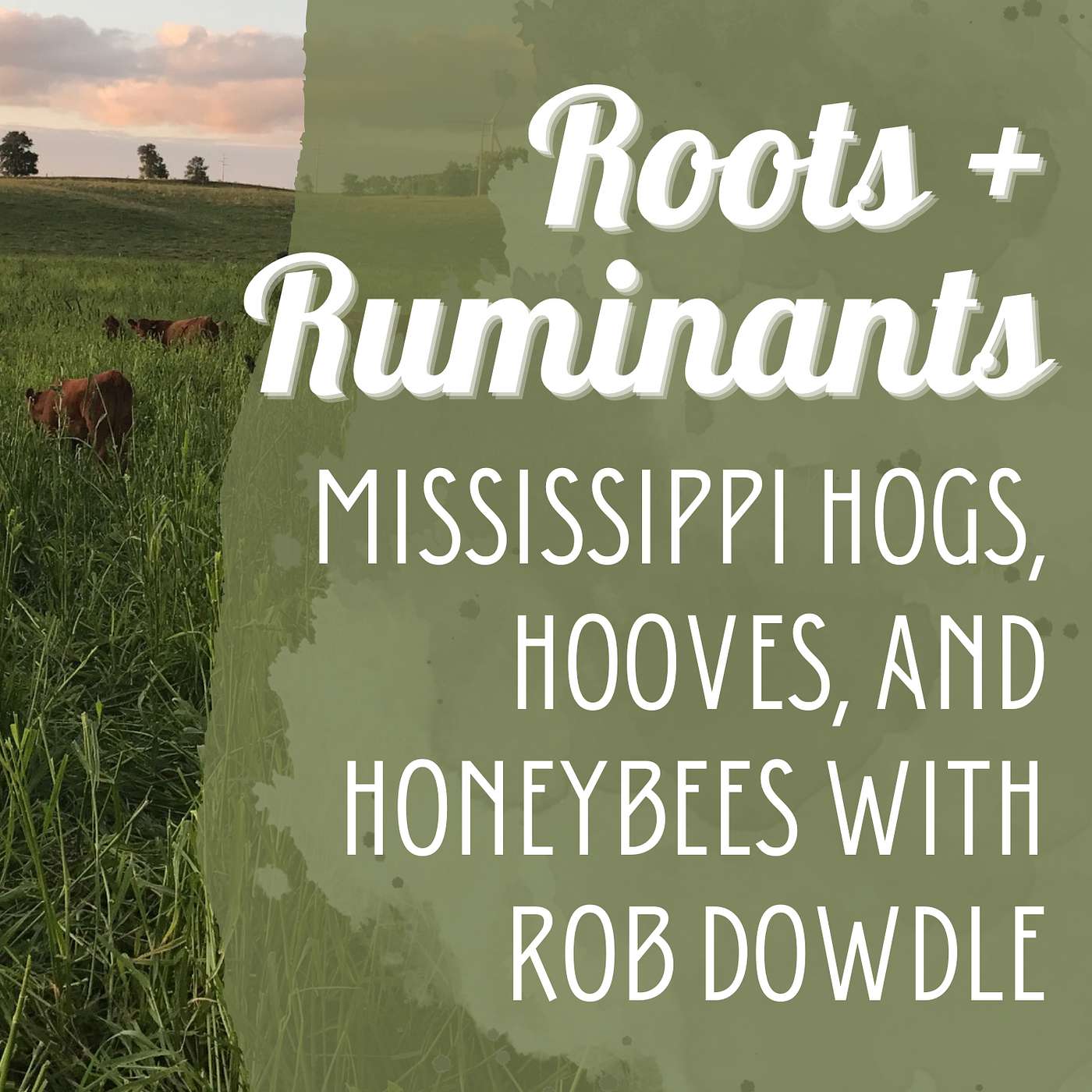 Mississippi hogs, hooves, and honeybees with Rob Dowdle cover art