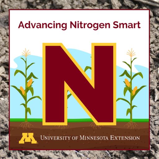 Carryover nitrogen: A potential credit for N fertilizer reduction in Minnesota cover art