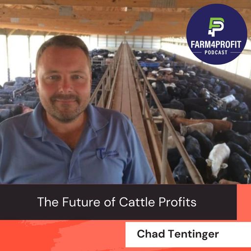 The Future of Cattle Profits: Legacy Beef Co-op Explained cover art