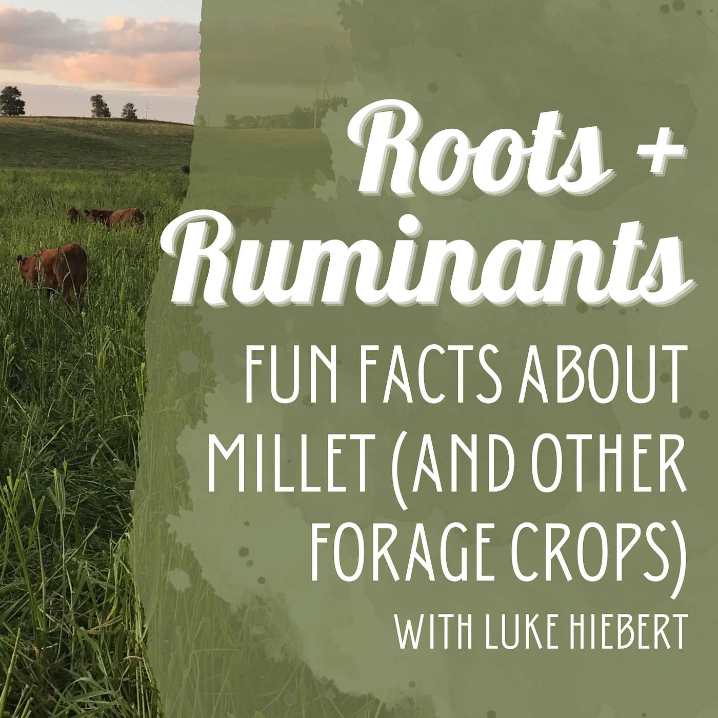 Fun Facts about Millet (and lots of other forage crops) cover art