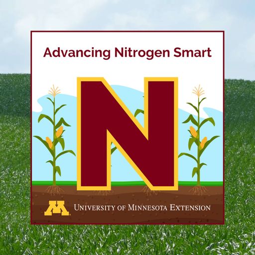 Sidedressing nitrogen: What should growers keep in mind when applying in-season? cover art