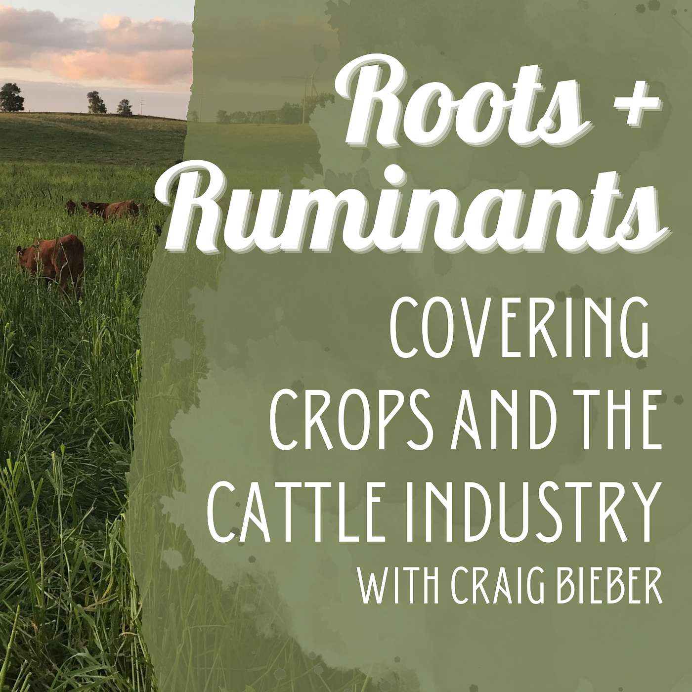 Covering crop rotations and the cattle industry with Craig Bieber cover art