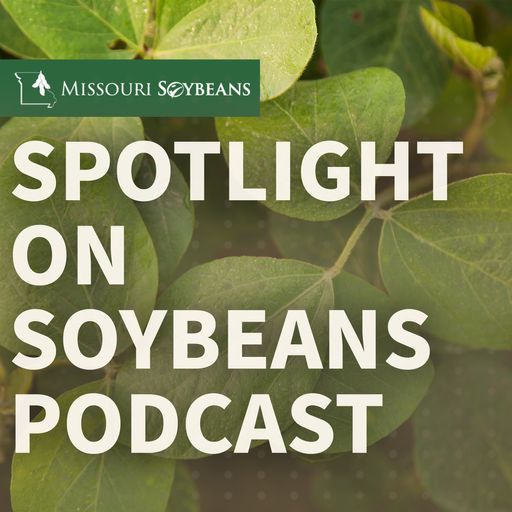 Spotlight on Soybeans cover art