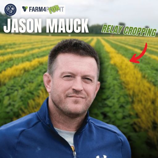 Farm4Fun - Jason Mauck - Constant Canopy cover art