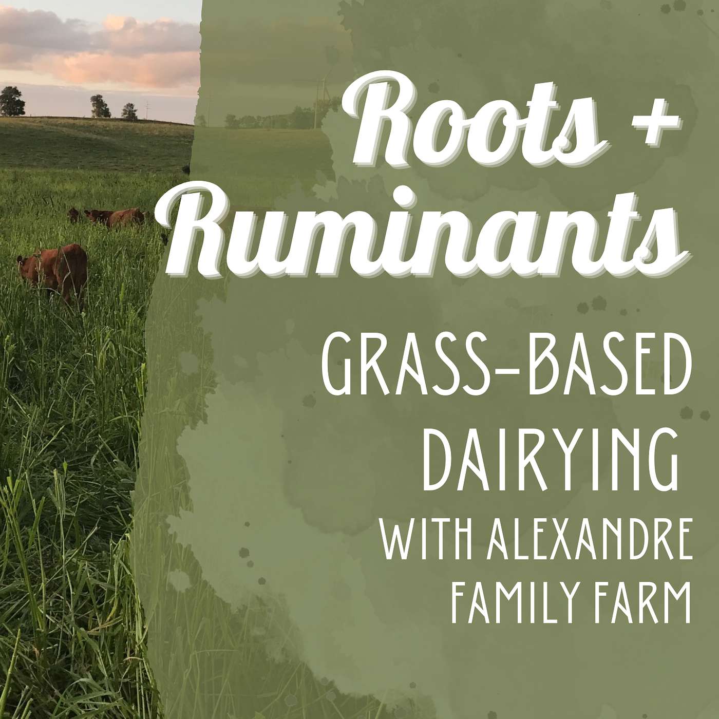 Grass-based Dairying with Alexandre Farms cover art