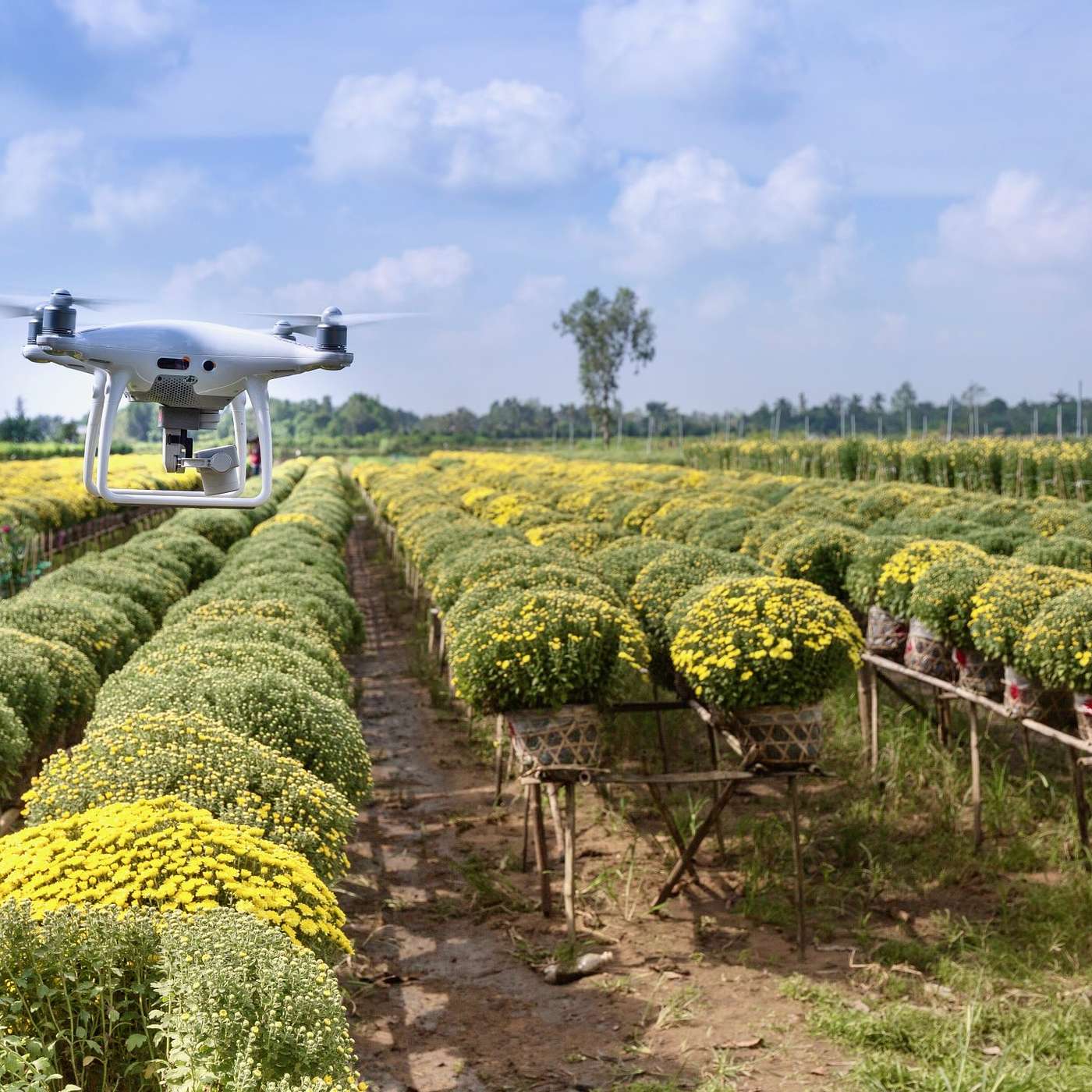 PrecisionHawk Talks Drone in Agriculture cover art
