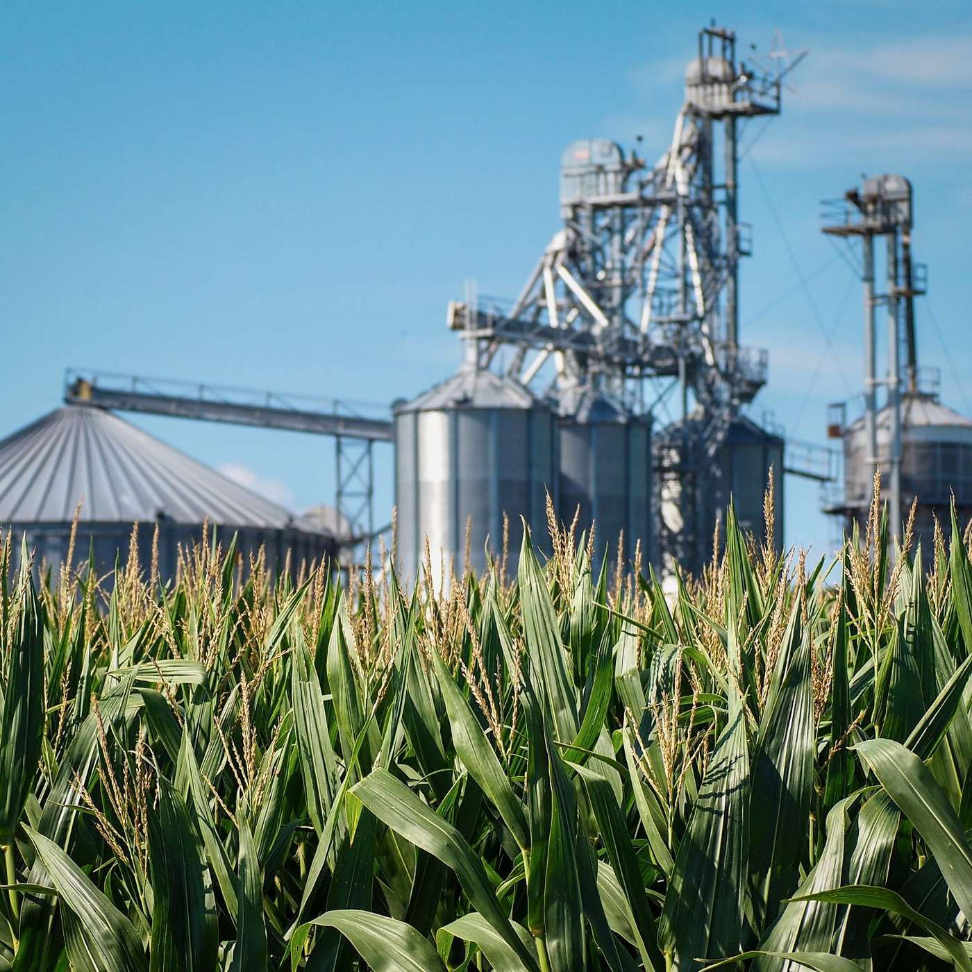 Post-Harvest Grain & Transportation Monitoring with TeleSense cover art