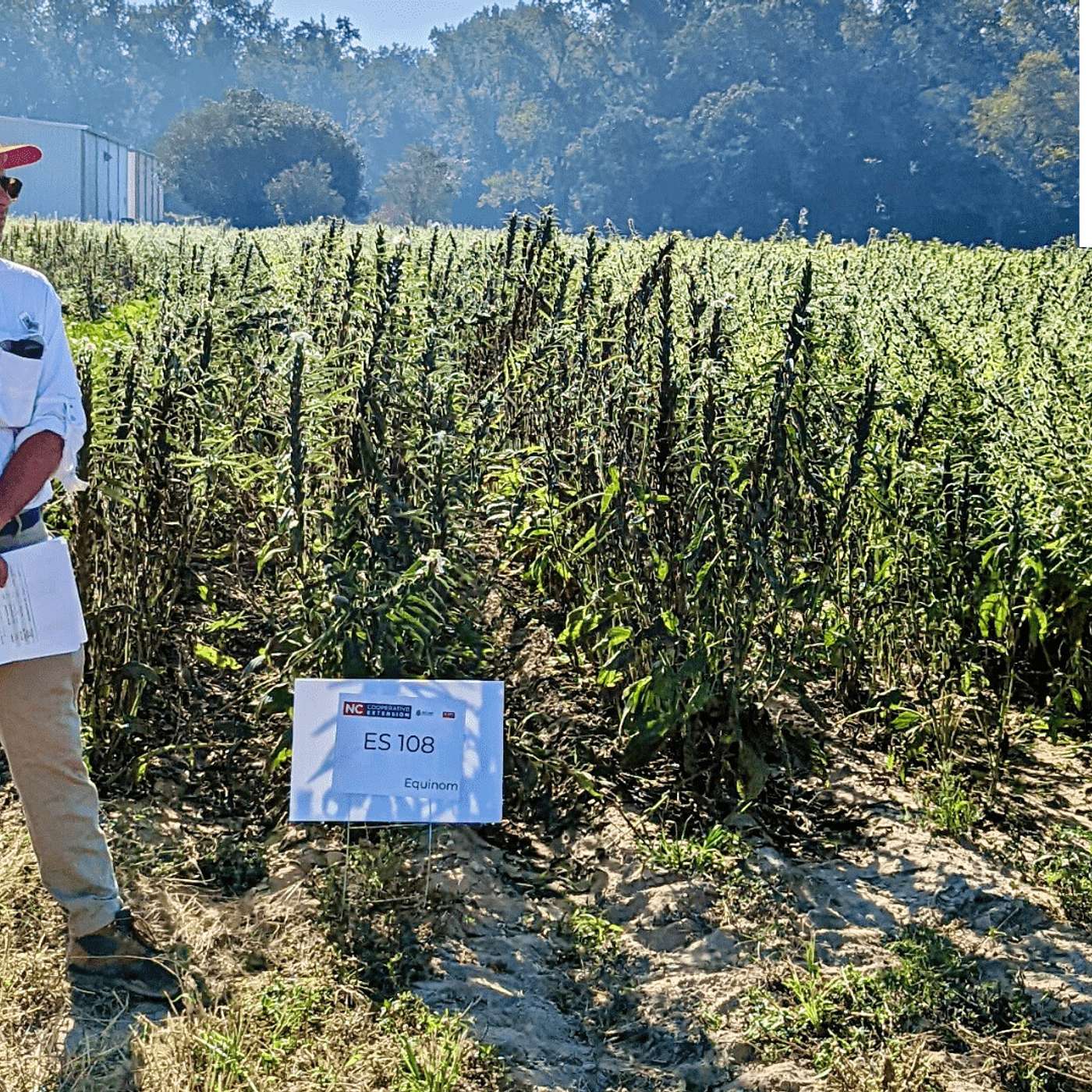 A Look Into Alternative Crops with David Suchoff cover art