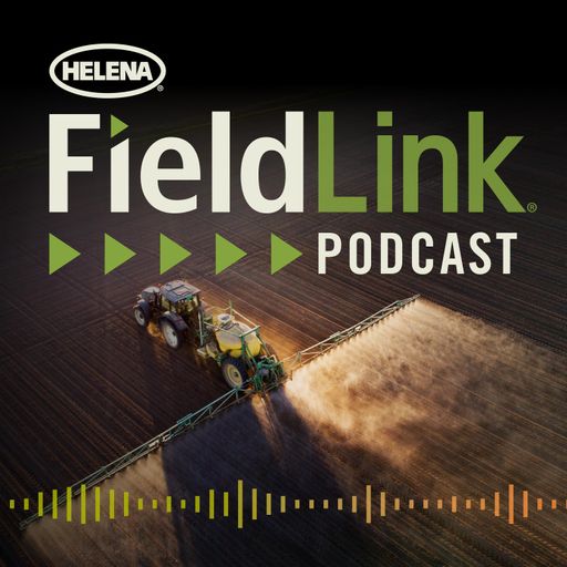 The FieldLink Podcast cover art