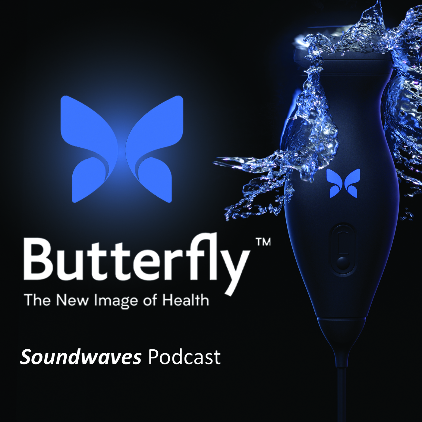 Soundwaves: Innovation in Cattle Diagnostics