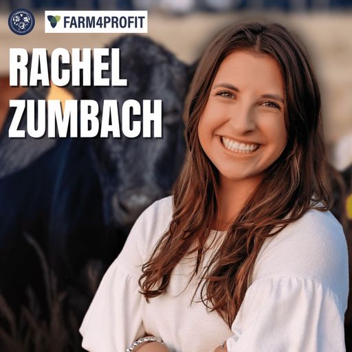 F4F - Rachel Zumbach - Cattle, Chickens & Farm4Profit cover art
