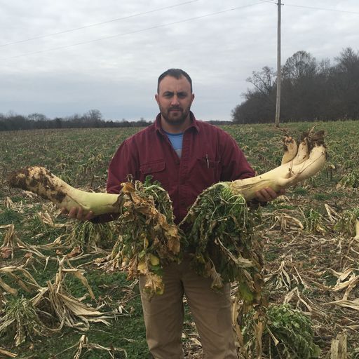 AgEmerge Podcast 150 with Adam Daugherty Soil Health Specialist - NRCS State of Tennessee cover art