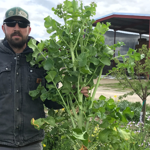 AgEmerge Podcast 153 with Andrew Carroll - Founder of EcoThrive Farm Management cover art