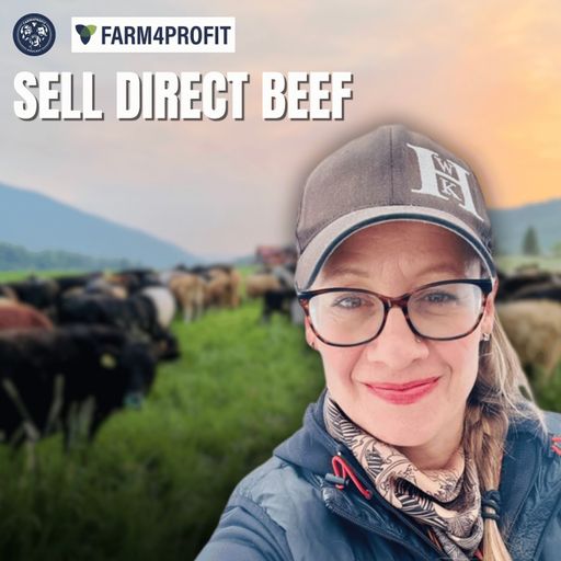 Direct to Consumer: Amy Hay - Former Engineer Driving The Future of Beef Sales cover art