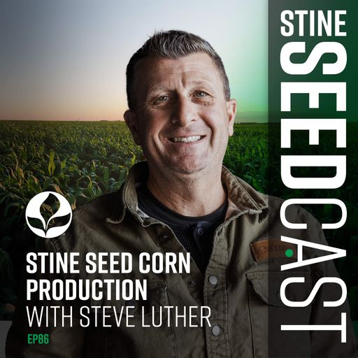 Stine Seed Corn Production With Steve Luther cover art