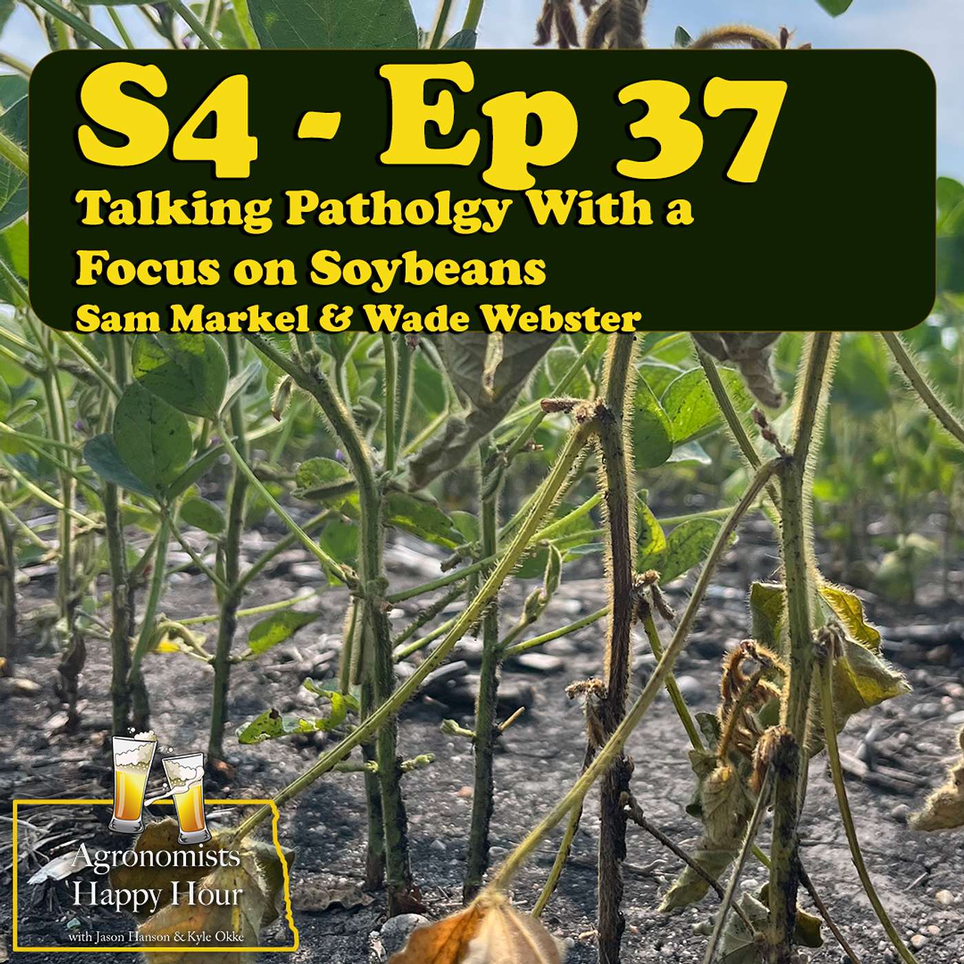 Talking Pathology With A Focus On Soybeans: With Sam Markel and Wade Webster cover art