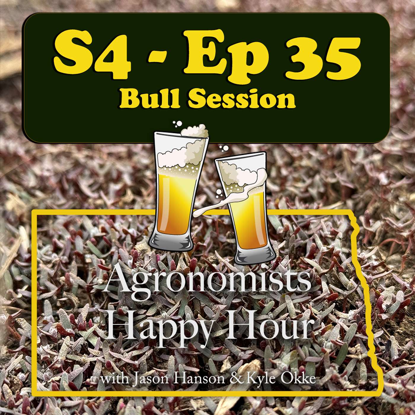 Bull **** Session cover art
