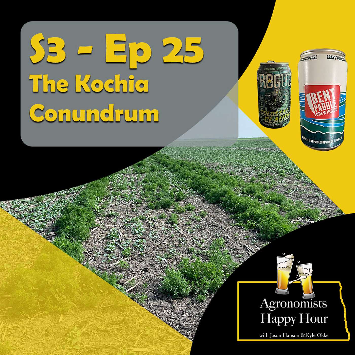 The Kochia Conondrum cover art