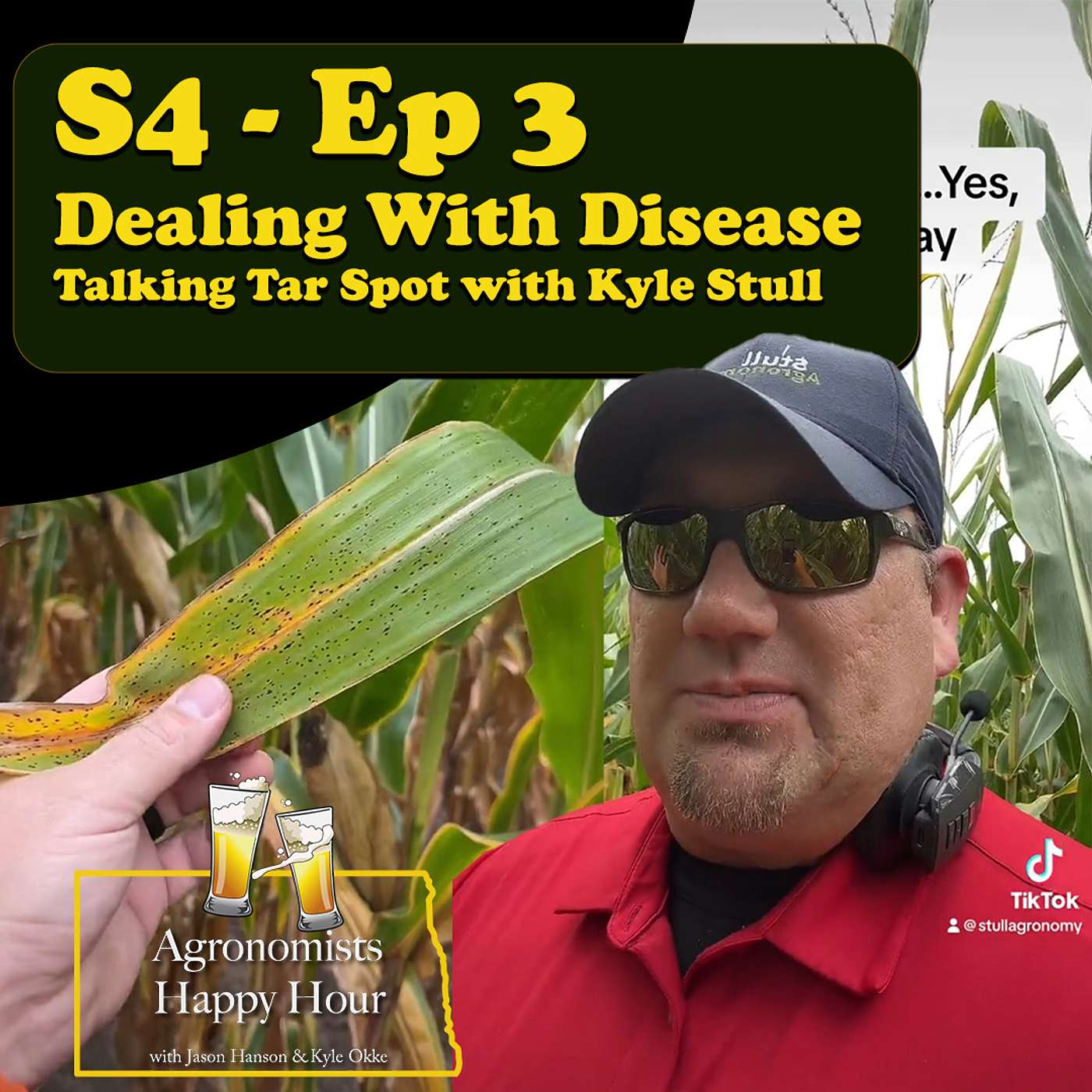 Dealing With Disease: Talking Tar Spot With Kyle Stull cover art