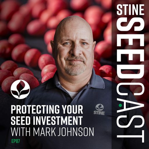 Protecting Your Seed Investment With Mark Johnson cover art