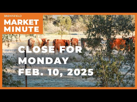 Cattle were up Monday | Closing Market Minute