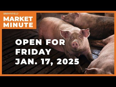 Hogs are lower Friday morning | Closing Market Minute cover art