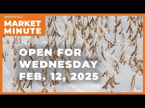Soybeans are lower Wednesday morning | Opening Market Minute