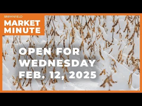 Soybeans are lower Wednesday morning | Opening Market Minute cover art