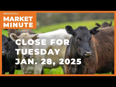 Cattle were sharply higher Tuesday | Closing Market Minute