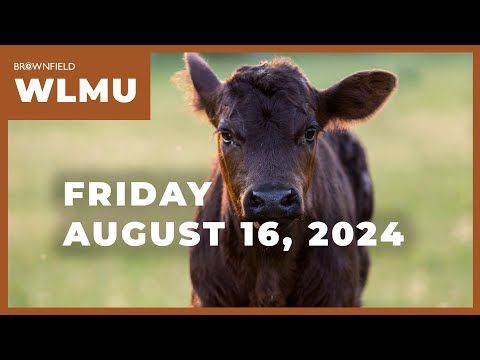 Cattle futures slide again this week | Weekly Livestock Market Update cover art