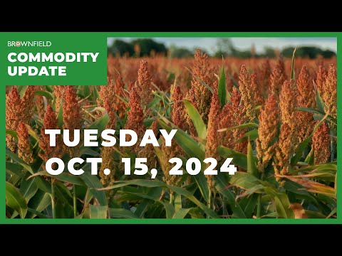 Crop markets lower across the board | Weekly Commodity Market Update