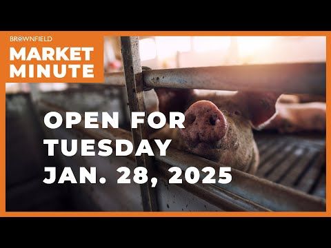 Hogs are higher Tuesday morning | Opening Market Minute cover art