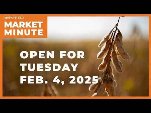 Soybeans are lower Tuesday morning | Opening Market Minute cover art
