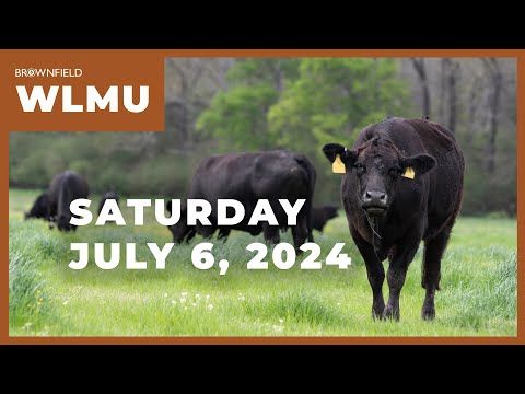 Fed cattle prices see slight decline this week | Weekly Livestock Market Update cover art