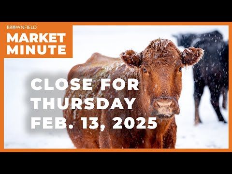 Cattle were up Thursday | Closing Market Minute cover art