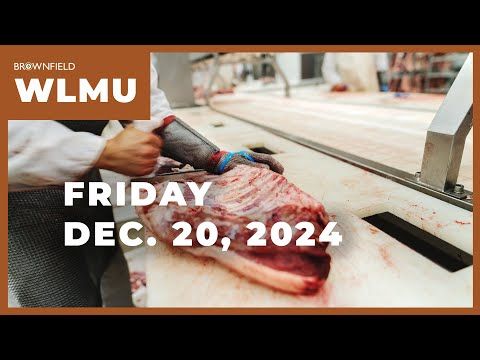 November beef cow slaughter drops nearly 31% from 2023 | Weekly Livestock Market Update cover art