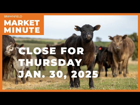 Cattle dropped Thursday | Closing Market Minute
