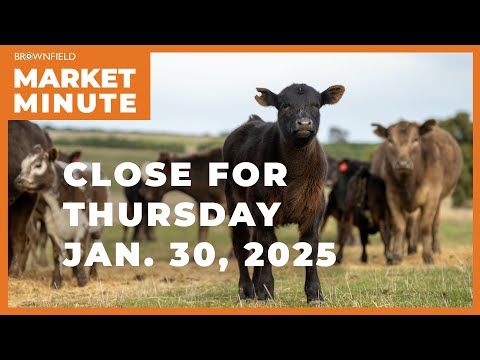 Cattle dropped Thursday | Closing Market Minute cover art