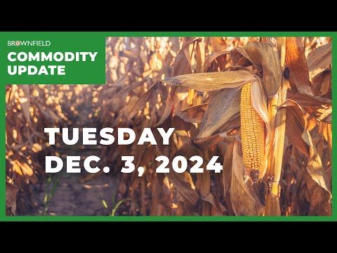 USDA increases expectation for 2025 ag trade deficit | Weekly Commodity Market Update cover art