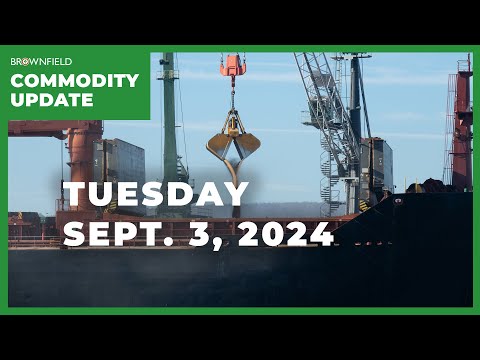 Trade expectations in the new marketing year | Weekly Commodity Market Update