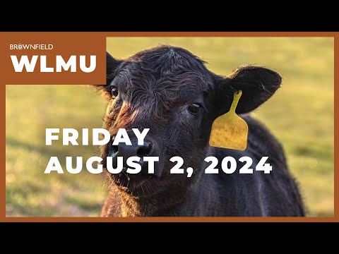 September feeder cattle futures drop $11.60 on the week | Weekly Livestock Market Update