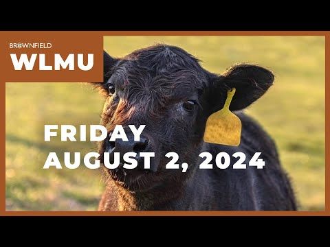 September feeder cattle futures drop $11.60 on the week | Weekly Livestock Market Update cover art