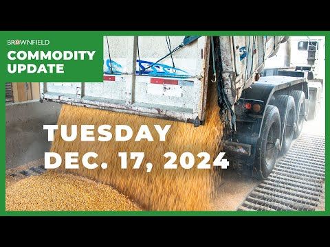 USDA makes sizable adjustments in recent supply and demand update | Weekly Commodity Market Update cover art