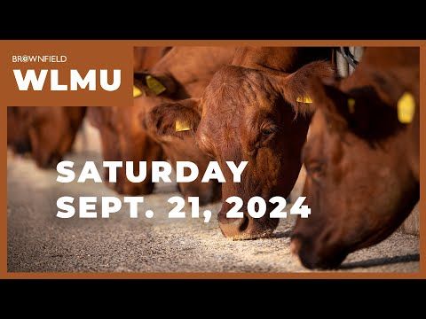 Cattle on Feed near pre-report expectations | Weekly Livestock Market Update cover art