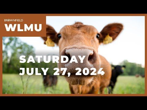 Live cattle futures jump more than $5 on the week | Weekly Livestock Market Update cover art