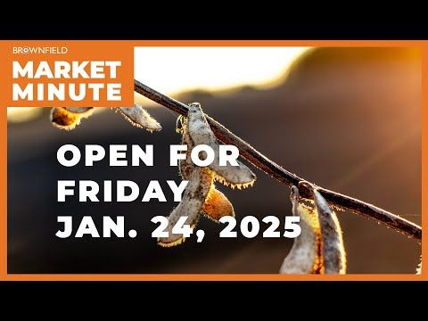 Soybeans are lower Friday | Opening Market Minute cover art