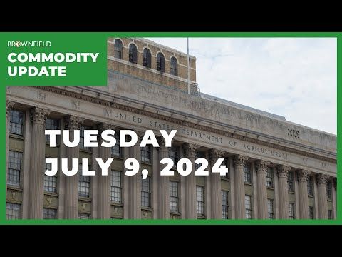 Crop markets eye USDA trade estimates | Weekly Commodity Market Update cover art