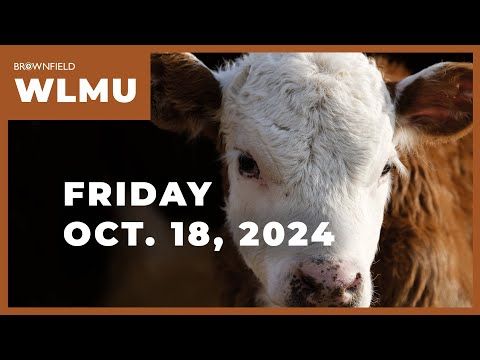 Preview of next week's Cattle on Feed numbers | Weekly Livestock Market Update cover art
